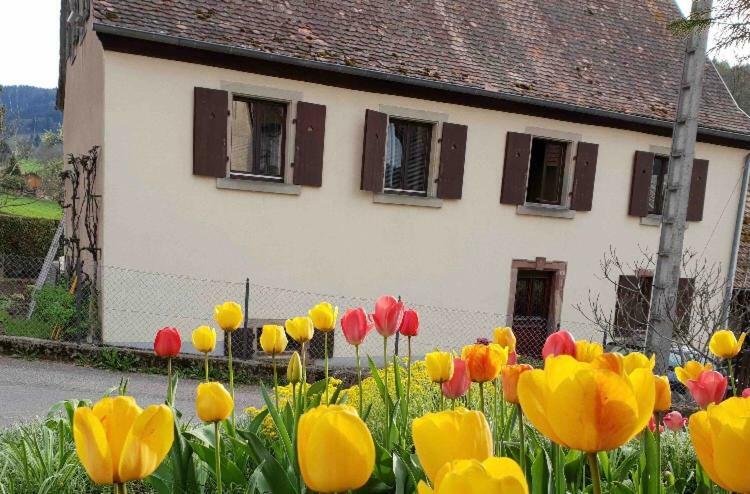 Petit Week End Dans La Vallee Breitenbach-Haut-Rhin Εξωτερικό φωτογραφία