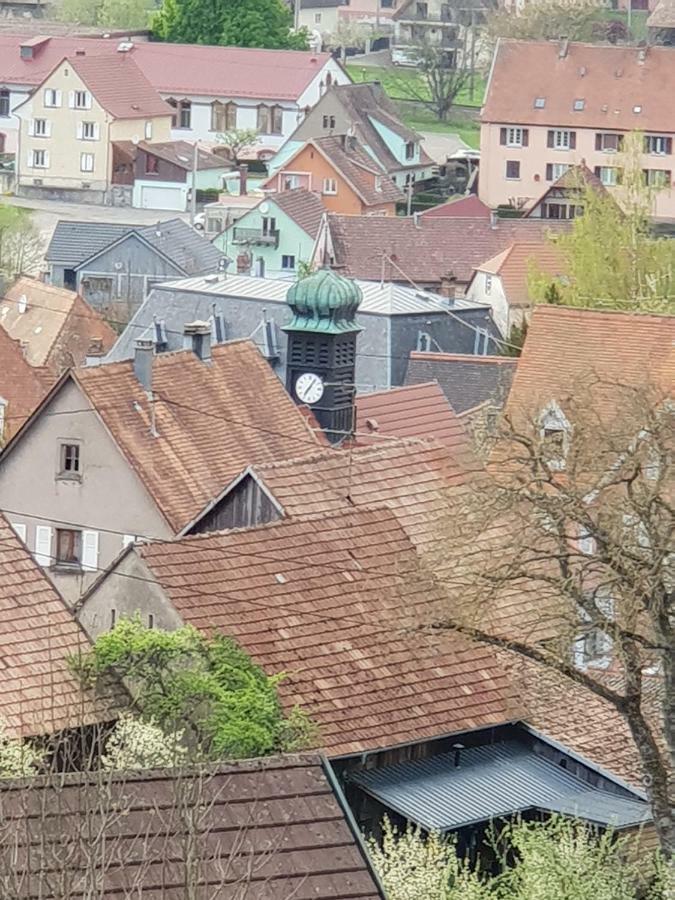 Petit Week End Dans La Vallee Breitenbach-Haut-Rhin Εξωτερικό φωτογραφία