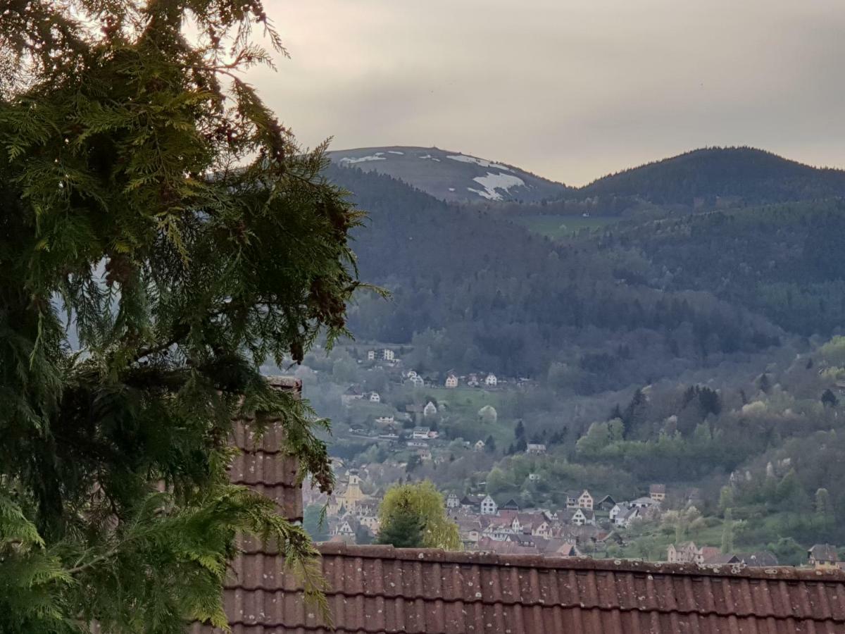 Petit Week End Dans La Vallee Breitenbach-Haut-Rhin Εξωτερικό φωτογραφία