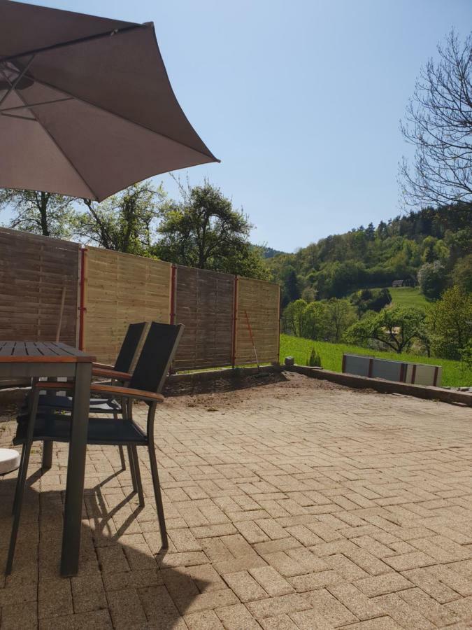 Petit Week End Dans La Vallee Breitenbach-Haut-Rhin Εξωτερικό φωτογραφία
