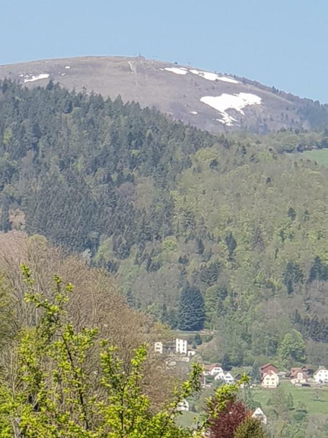 Petit Week End Dans La Vallee Breitenbach-Haut-Rhin Εξωτερικό φωτογραφία