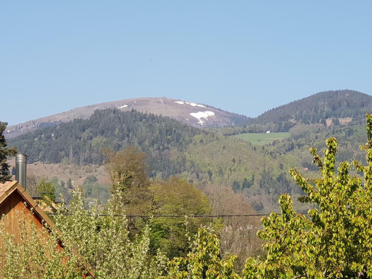 Petit Week End Dans La Vallee Breitenbach-Haut-Rhin Εξωτερικό φωτογραφία