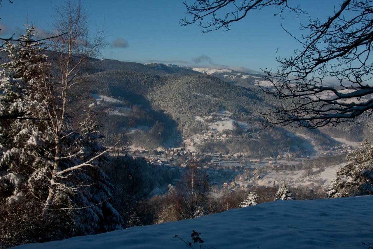 Petit Week End Dans La Vallee Breitenbach-Haut-Rhin Εξωτερικό φωτογραφία