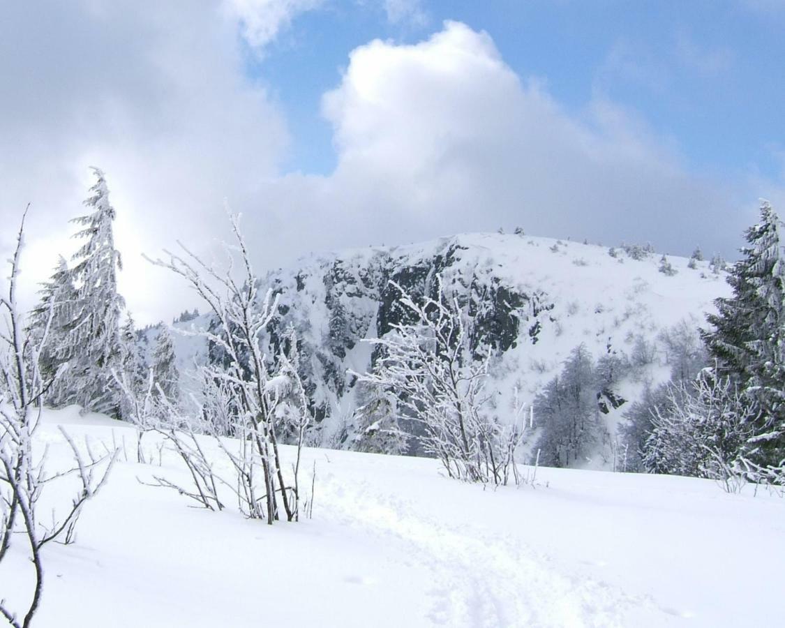 Petit Week End Dans La Vallee Breitenbach-Haut-Rhin Εξωτερικό φωτογραφία