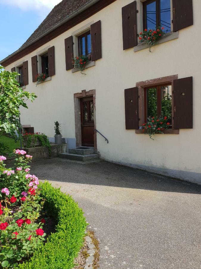 Petit Week End Dans La Vallee Breitenbach-Haut-Rhin Εξωτερικό φωτογραφία