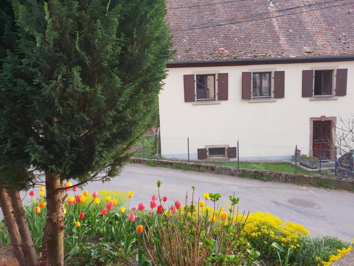 Petit Week End Dans La Vallee Breitenbach-Haut-Rhin Εξωτερικό φωτογραφία